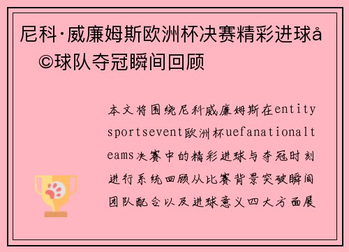 尼科·威廉姆斯欧洲杯决赛精彩进球助球队夺冠瞬间回顾